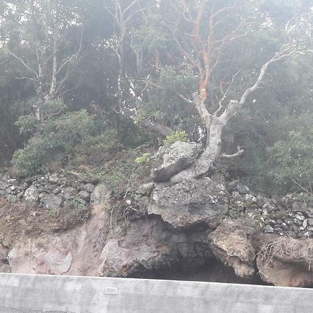 Al - Boa Nova Διαμέρισμα Madalena  Εξωτερικό φωτογραφία
