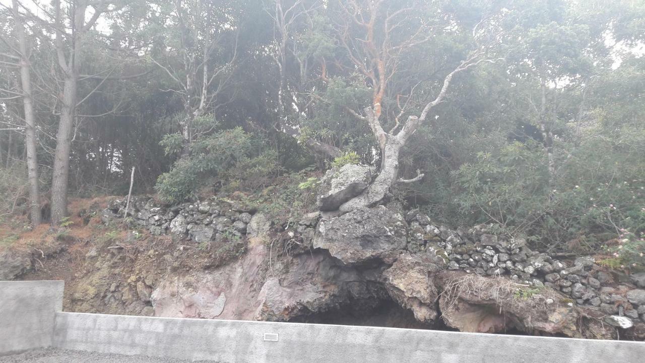 Al - Boa Nova Διαμέρισμα Madalena  Εξωτερικό φωτογραφία